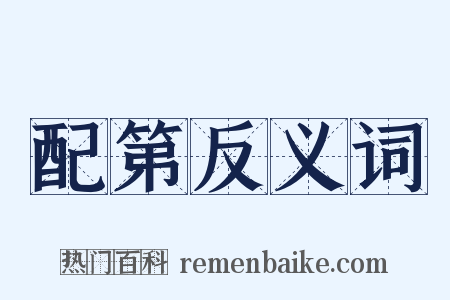 配第反义词是什么意思的图片